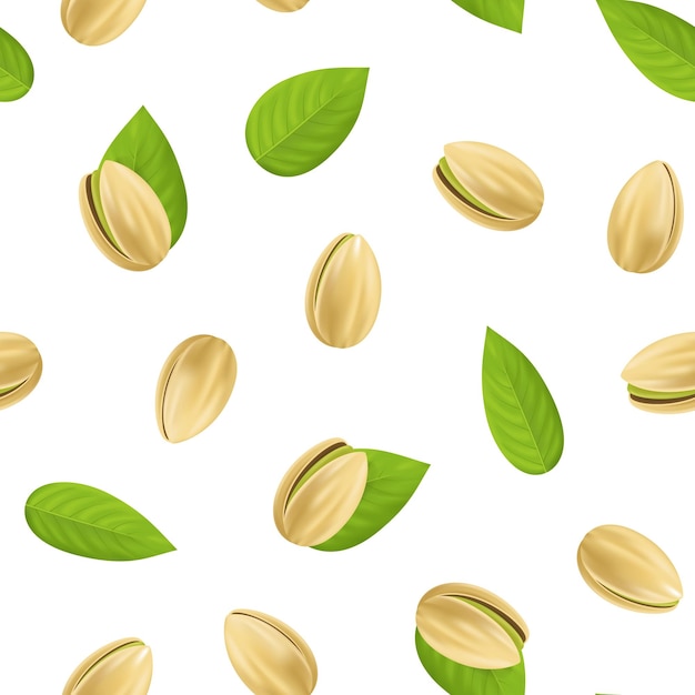 Realistic Detailed Pistachio Nuts Seamless Pattern Background Vector