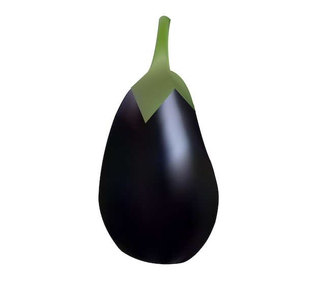 Realistic Eggplant Vector Illustration