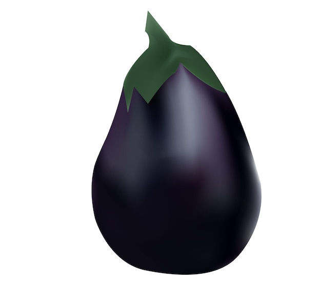 Realistic Eggplant Vector Illustration