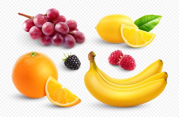 Vector realistic fresh fruits element set on transparent background