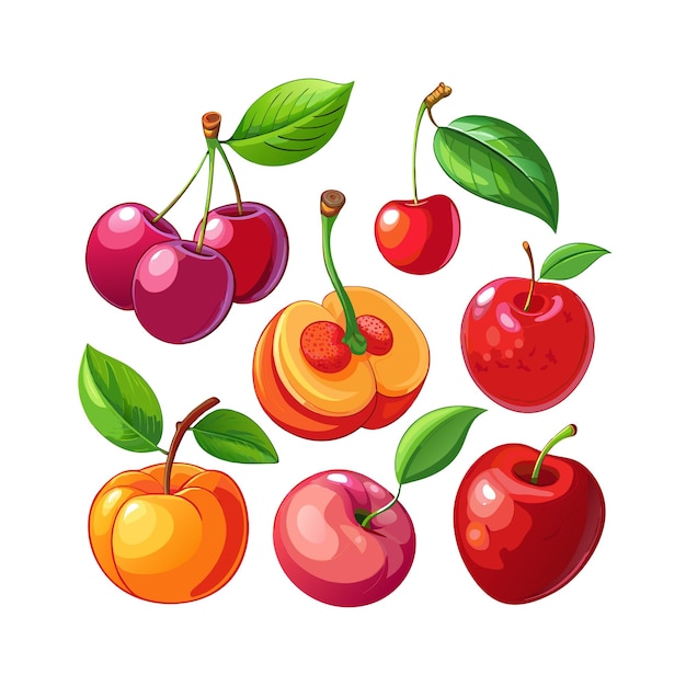 Realistic Fruits Vector Illustration Concepts