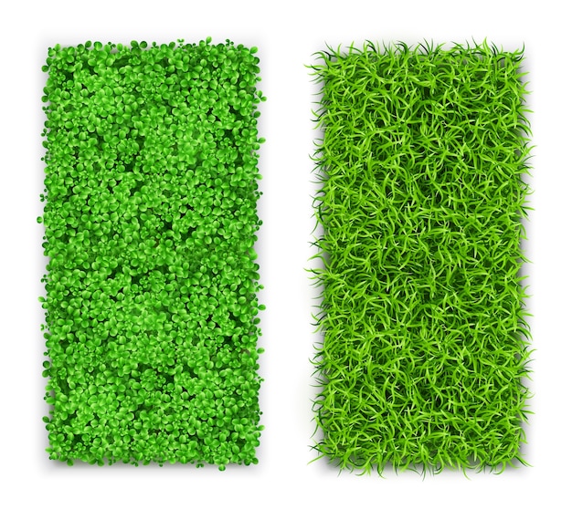 Vector realistic grass vertical card set