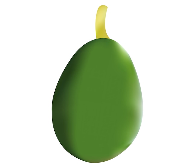 Realistic Green Avocado Vector Illustration