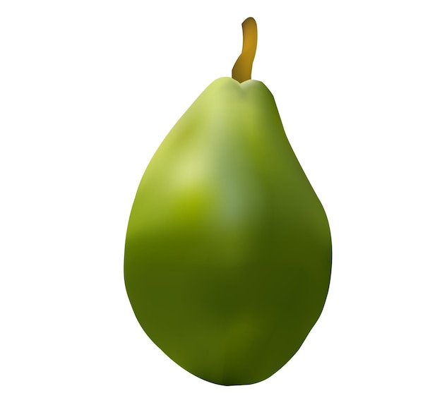 Realistic Green Avocado Vector Illustration