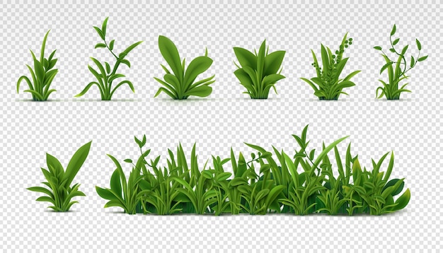 Realistic green grass. 3D fresh spring plants, different herbs and bushes