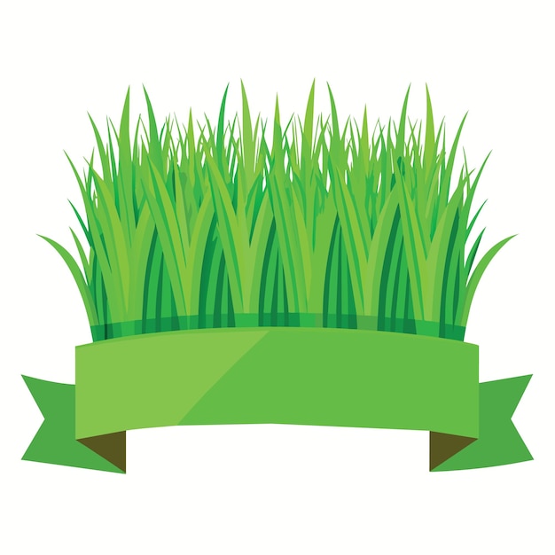 Vector realistic green grass banner on isolated background lawn meadow garden or park vector border