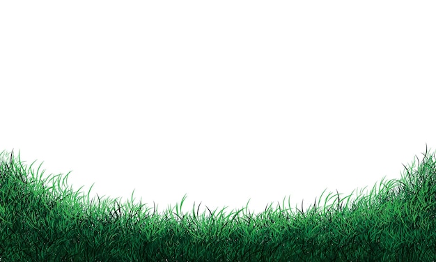 Realistic green grass field curve on white background vector