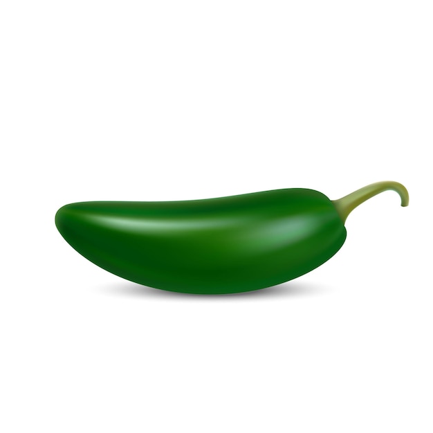 Realistic Green hot natural jalapenoi pepper