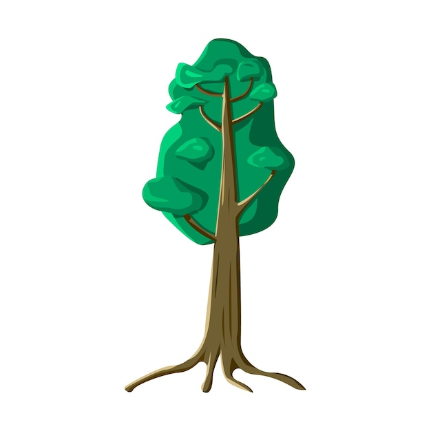 Realistic green old tall tree isolated on white background - Vector