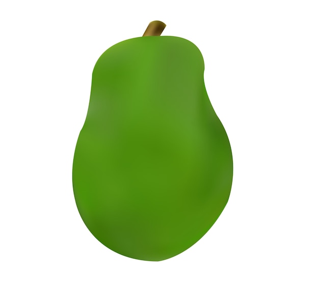 Realistic Green Papaya Vector Illustration