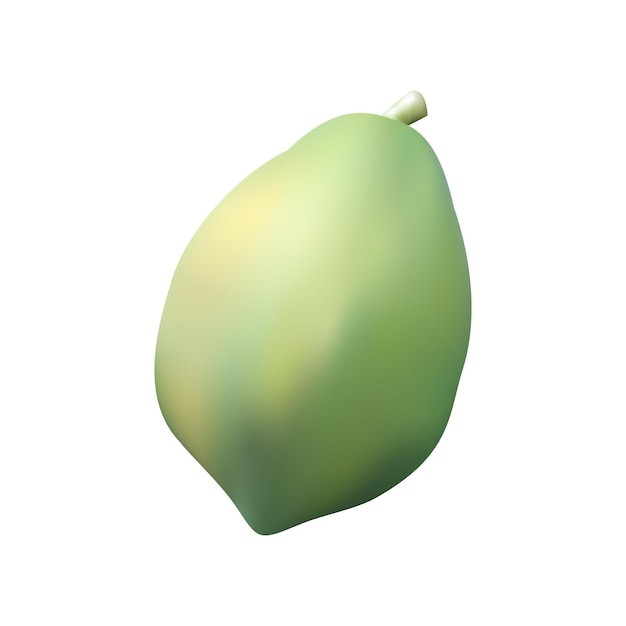 Realistic green, raw papaya, vector illustration