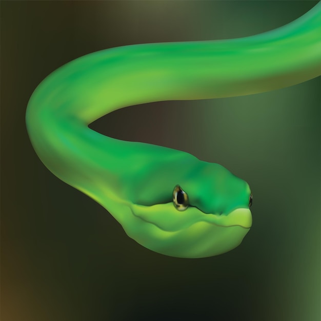 Realistic green snake illustration