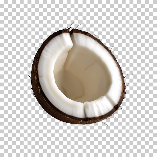 Vector realistic half coconut isolated on transparent background