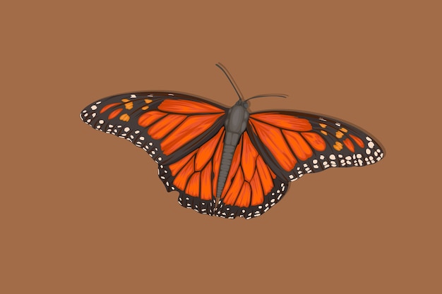 Realistic hand drawn butterfly