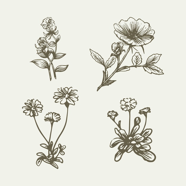 Realistic hand drawn organic  wild flowers