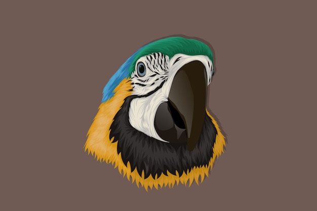 Vector realistic hand drawn parrot