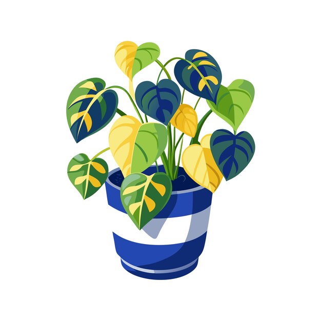 Vector realistic handdrawn versatile potted houseplant