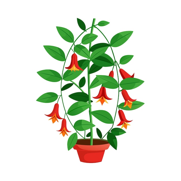 Vector realistic handdrawn versatile potted houseplant