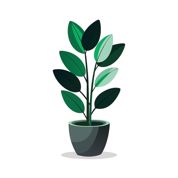 Vector realistic handdrawn versatile potted houseplant