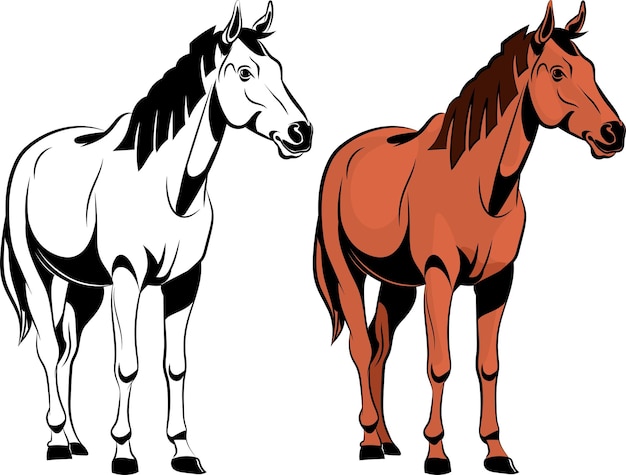 Realistic horse standing illustration