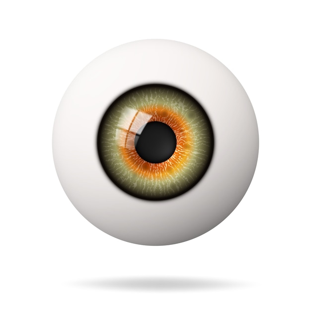 Realistic human eyeball. The retina is the foreground.