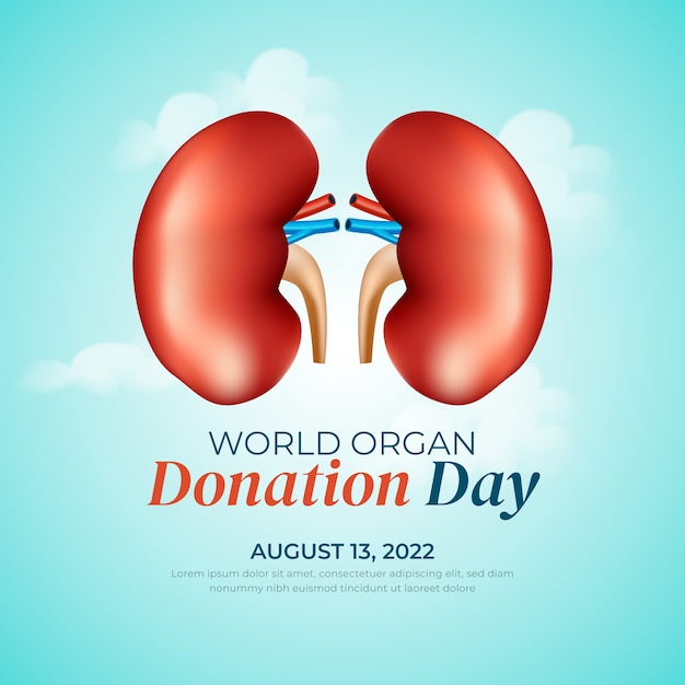 Realistic illustration for world organ donation day