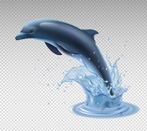 Realistic jumping dolphin isolated