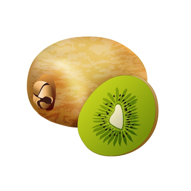 Realistic kiwi