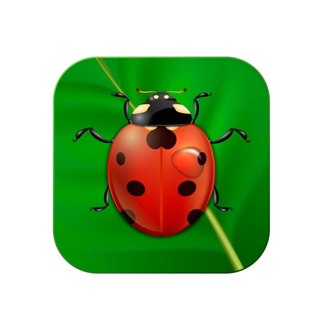 Realistic ladybug on leaf Icon