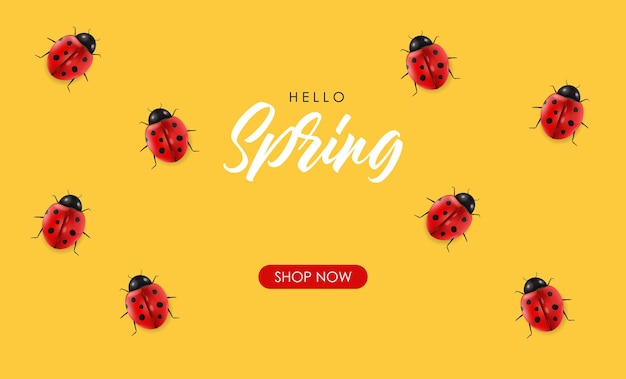 Realistic ladybug set isolated, hello spring, sale banner, red insect, beauty ladybug vector