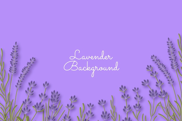 Vector realistic lavender background