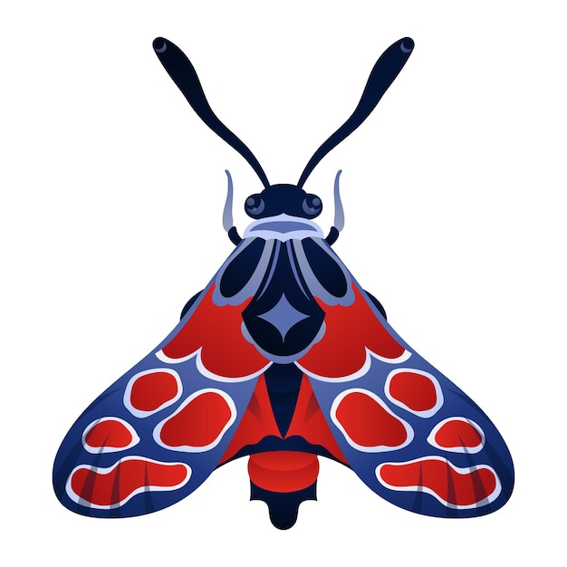 Realistic moth vector illustration on white background