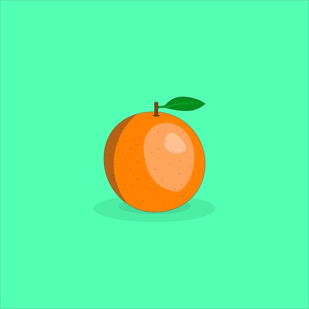 Realistic orange in vector