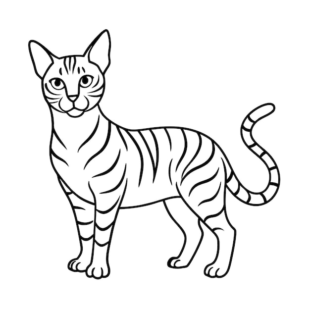 Realistic Outline Vector Illustration of Popular Pet Cat