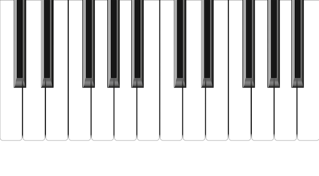 Realistic piano keys Musical instrument keyboard Vector