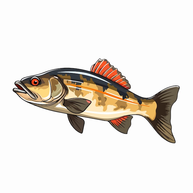 Realistic Pike Perch Fish Vector Illustration Isolated on White Background