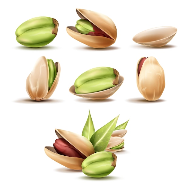 Realistic pistachios 3D pistachio nut ripe pistache with leaf raw natural tasty food kernel etc natural nuts vegetarian cooking tidy vector illustration