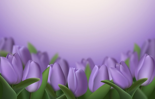 Vector realistic purple 3d tulip flowers vector illustration