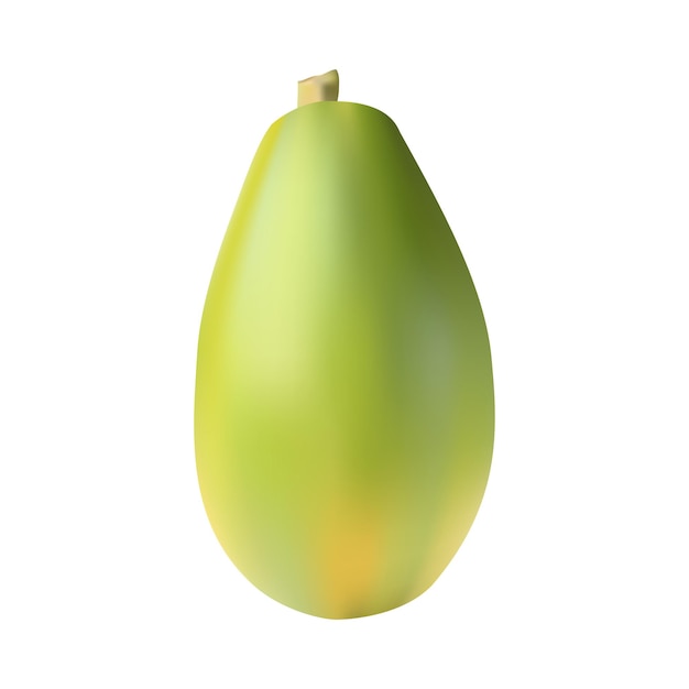 Realistic raw papaya, vector illustration