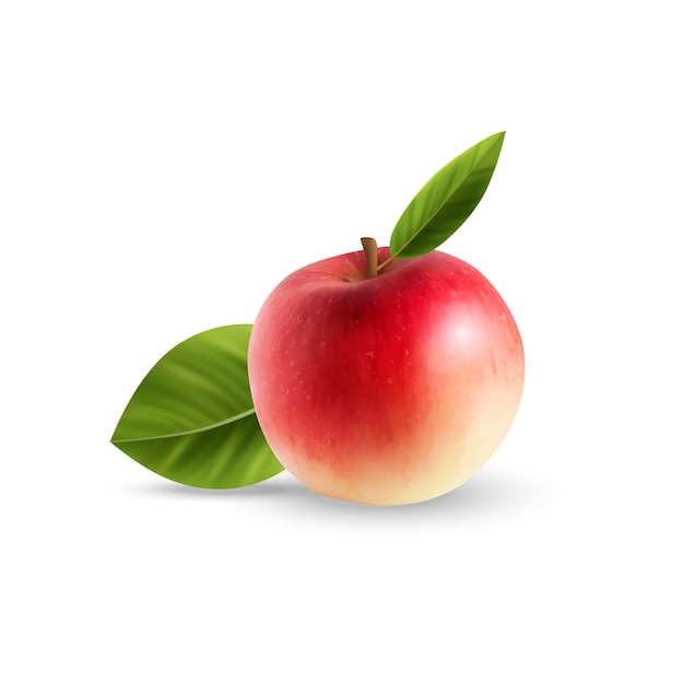 Realistic red apple with green leaf on white background