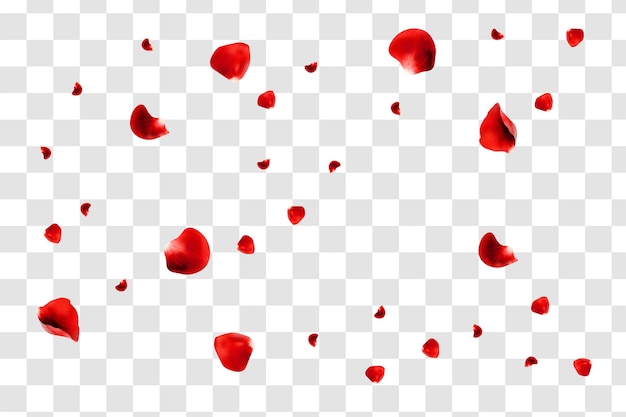 Vector realistic red rose petals flying around isolated