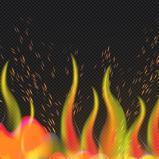 Realistic redyellow fire on a dark background Vector