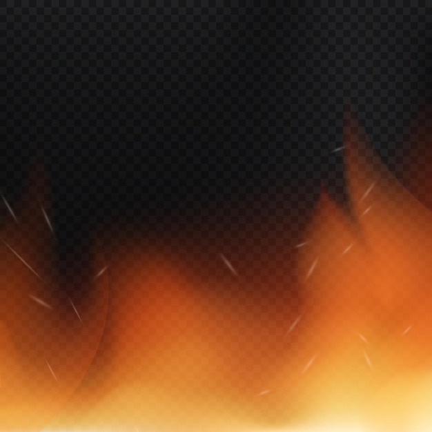 Realistic redyellow fire on a dark background Vector