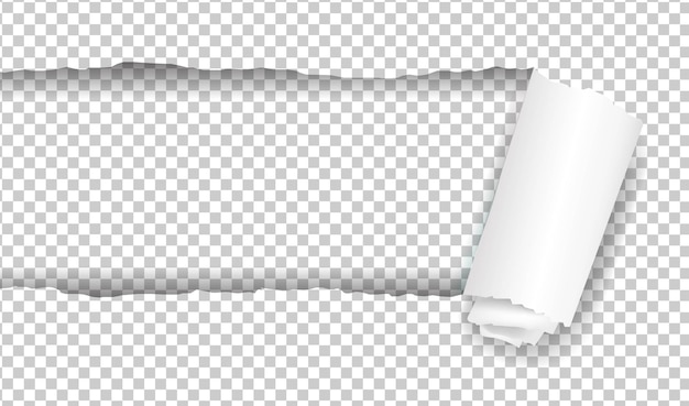 Realistic Ripped White Paper Banner Design