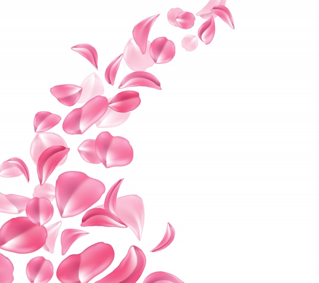  realistic rose, cherry, sakura petal wave