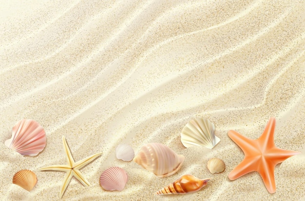 Realistic sand beach top view seashells starfish