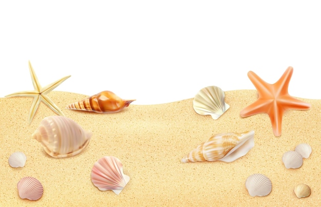 Realistic seaside beach top view with seashells