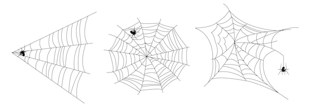 realistic set of spider web for Halloween spider web editable stroke spider web and small spider