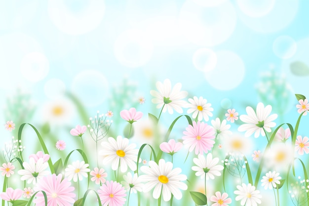 Vector realistic spring background