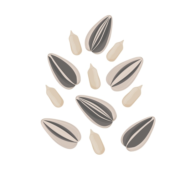 Realistic Sunflower Seed Snack Kuaci Kwaci Vector Illustration Logo